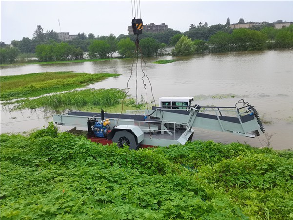 香蕉视频污下载